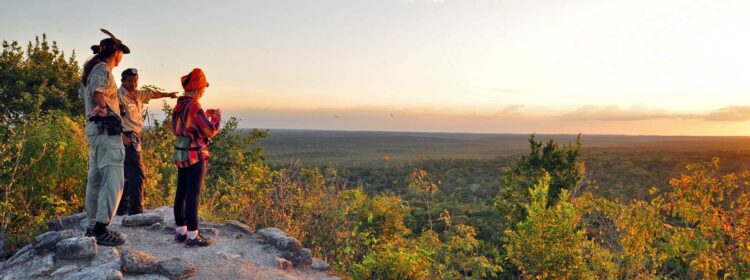 Как правильно выбрать обувь в походы по джунглям и горам Центральной Америки экспедициях с Terramaya.ru